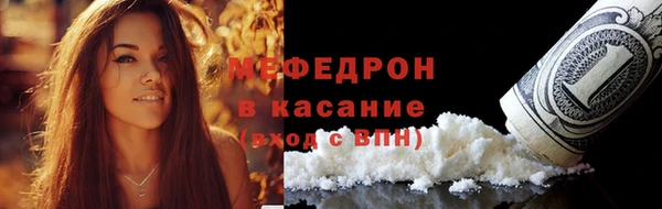 МДПВ Ельня