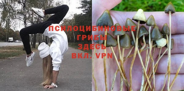 мдпв Заволжск