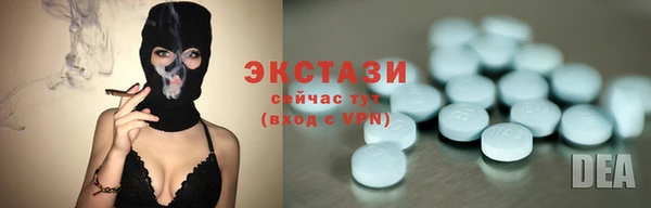 МДПВ Ельня
