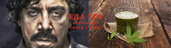 МДПВ Ельня