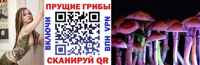 Псилоцибиновые грибы MAGIC MUSHROOMS  Кисловодск 